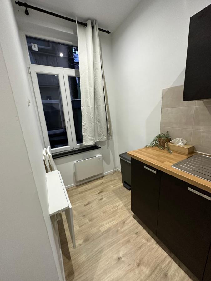 Nouveau Studio Dans Le Centre De Bruxelles Екстериор снимка